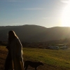 11_jami_at_sunset