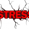 Stress