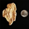 Illinois Cornflake