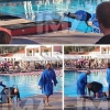 Louie Anderson Sinks