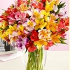 02_pro_flowers