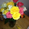 ProFlowers one Week Later