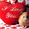 I Love You