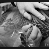 David Lee Roth Dragon Tatoo