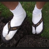 Sandals and Socks