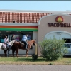 Horse at Taco Bell