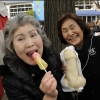 Penis Candy
